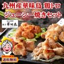 ギフト 水炊き料亭 博多華味鳥 焼き鳥 4種×各5本 計20本セット お取り寄せ 送料無料 華味鳥