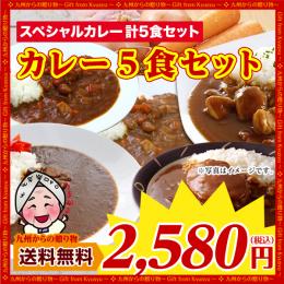 厳選 今売れている スペシャル レトルト カレー 5食セット