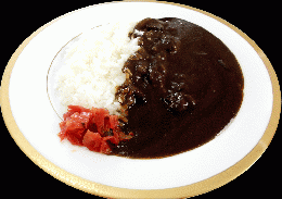 グルメ まとめ買い 当店チョイス 厳選カレー 計50食 バラエティセット