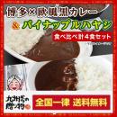 2種食べ比べ スペシャル レトルト カレー 計4食セット