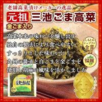 大人気4種×6袋 九州高菜セット 明太高菜 旨辛高菜 ごま 直火高菜