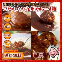 大人気レトルトカレー食べ比べ4種セット【欧風・ハンバーグ・華味鳥チキン・ビーフ甘口】