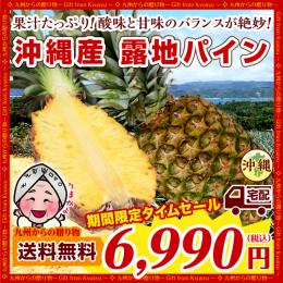 沖縄東村直送 久高農園 露地パイン ずっしり3玉(約5.4〜6kg)