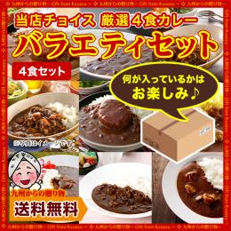 当店チョイス 厳選4食カレー バラエティセット