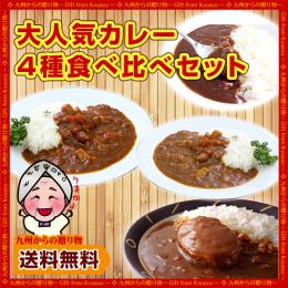 大人気カレー4種×各1食(ハンバーグ、欧風黒カレー、辛口、甘口) 食べ比べセット