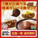 7種から選べる大人気 お試し 絶品 カレー 4食セット